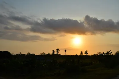 DSC_5588 (Large).JPG